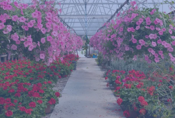 a nursery selling plants takes advantage of the fact that Cuebiq has partnered with Affinity Solutions to deliver privacy-first, holistic attribution with device-level IRL visits plus store-level sales data.